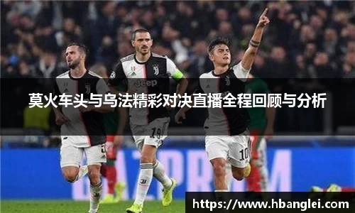球速体育